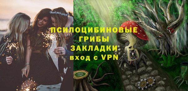 таблы Каменногорск