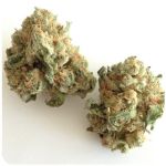 Шишки "White Widow"  (Белая вдова)  Гидропоника -  Бошка VHQ в Коле