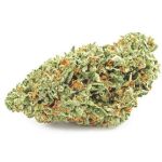 Шишки OG Kush  (Гидропоника, бошки) VHQ в Коле